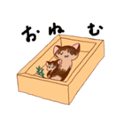 ねこキノコスタンプ（個別スタンプ：13）