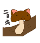 ねこキノコスタンプ（個別スタンプ：16）