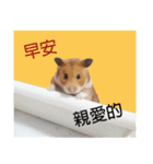 only bear-2（個別スタンプ：2）