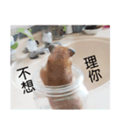 only bear-2（個別スタンプ：3）