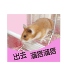 only bear-2（個別スタンプ：4）