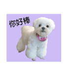 only bear-2（個別スタンプ：9）