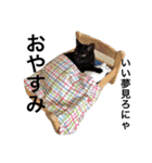 黒猫 まいまい（個別スタンプ：6）