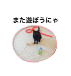 黒猫 まいまい（個別スタンプ：8）