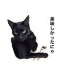 黒猫 まいまい（個別スタンプ：9）