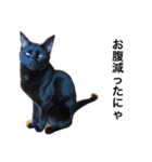 黒猫 まいまい（個別スタンプ：10）