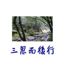 beautiful pictures:action（個別スタンプ：2）