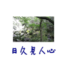 beautiful pictures:action（個別スタンプ：3）