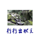 beautiful pictures:action（個別スタンプ：5）