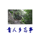 beautiful pictures:action（個別スタンプ：6）