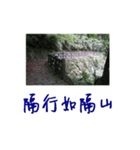 beautiful pictures:action（個別スタンプ：7）