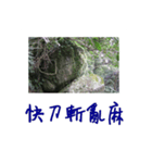 beautiful pictures:action（個別スタンプ：8）