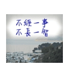 beautiful pictures:mood（個別スタンプ：1）