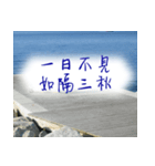beautiful pictures:mood（個別スタンプ：7）