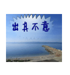 beautiful pictures:once again（個別スタンプ：2）