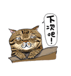 eh！cat！4（個別スタンプ：6）