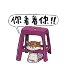 eh！cat！4（個別スタンプ：13）