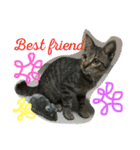 上間家の猫たち2（個別スタンプ：22）