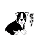 Doggy daily 2（個別スタンプ：8）