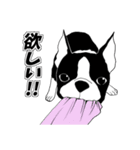 Doggy daily 2（個別スタンプ：29）