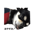 とめ吉の日常（個別スタンプ：6）