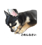 とめ吉の日常（個別スタンプ：8）