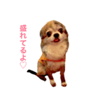 こじあず（個別スタンプ：4）