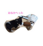 モモララスタンプ 2（個別スタンプ：8）