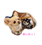 モモララスタンプ 2（個別スタンプ：14）