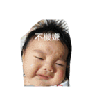 ぺーすたんぷ★身内用（個別スタンプ：40）