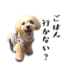 むぎちゃんとMIXなお友達 2017年5月編（個別スタンプ：26）