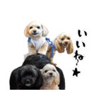 むぎちゃんとMIXなお友達 2017年5月編（個別スタンプ：30）