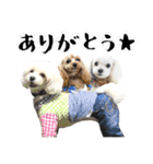むぎちゃんとMIXなお友達 2017年5月編（個別スタンプ：32）