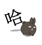 black black rabbit 5- word（個別スタンプ：19）