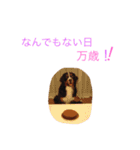 ロッキー君といっしょ（個別スタンプ：24）