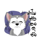 Love Dog, Love Cat（個別スタンプ：13）