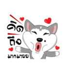 Love Dog, Love Cat（個別スタンプ：16）