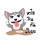 Love Dog, Love Cat（個別スタンプ：17）