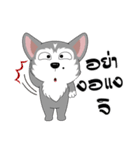 Love Dog, Love Cat（個別スタンプ：19）
