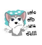 Love Dog, Love Cat（個別スタンプ：21）