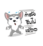 Love Dog, Love Cat（個別スタンプ：23）