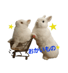 うさもふスタンプ   お友達と一緒3（個別スタンプ：8）