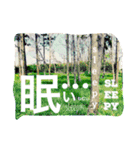 なかよし。スーパーデブリ（個別スタンプ：12）