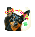 わらわはLottiなのじゃ part 2（個別スタンプ：1）