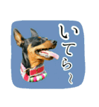 わらわはLottiなのじゃ part 2（個別スタンプ：2）