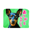 わらわはLottiなのじゃ part 2（個別スタンプ：3）
