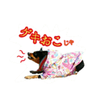 わらわはLottiなのじゃ part 2（個別スタンプ：6）