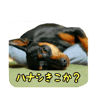 わらわはLottiなのじゃ part 2（個別スタンプ：10）