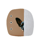 わらわはLottiなのじゃ part 2（個別スタンプ：11）