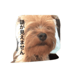 リーフとまめた（個別スタンプ：5）